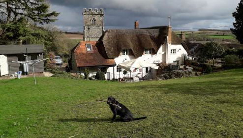 Chocolate Box Retreat in Dorset - Foto 1