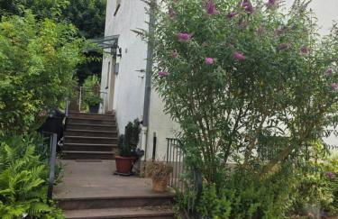 FeWO-Rafaelo 2 - Foto 3