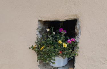 Casa Patron - Grande casa immersa nella natura della Valchiusella, vista montagna, perfetta per famiglie e gruppi a 1 ora da Torino - Foto 80