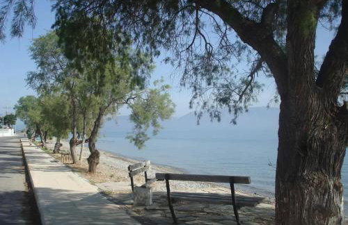 Σοφίτα Μαρτά - Foto 44