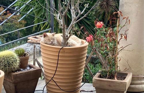 Les restanques de la Panouse - Foto 28