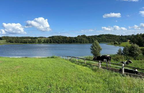 Biała Czapla - Foto 40