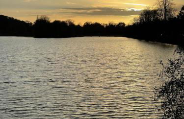 Ferienwohnung Teichidyll Altenburg - Foto 19