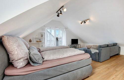 Dachstudio am Donau Rad Weg - Foto 4