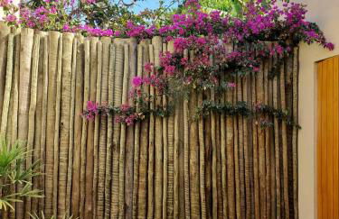 Statera Host - Foto 43