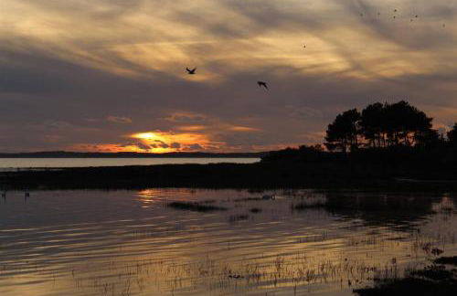 Locaplage - Photo 15