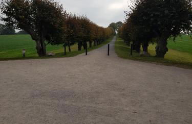 Mühlenblick - Foto 6