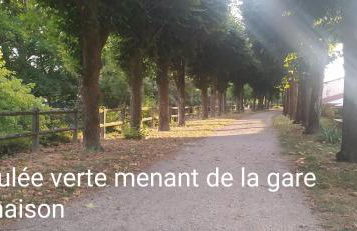 Charme Provinois - Foto 19