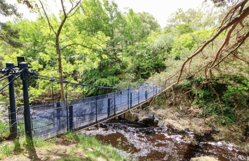 Forestside View - Photo 58