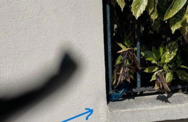 «  La PETITE MAISON » ....Des grands espaces... - Foto 29