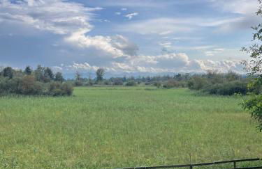 Seewiese Ammersee - Foto 15