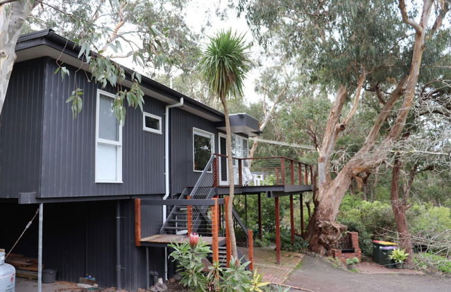 Whispering Gums Lorne Ocean Views Pet Friendly EV Charger - Photo 42