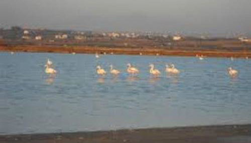 Anna's house - Foto 2