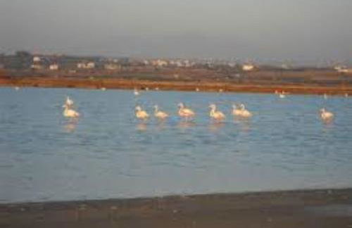 Anna's house - Photo 2