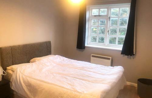 Cosy 1 bed flat in Colliers Wood - Foto 2