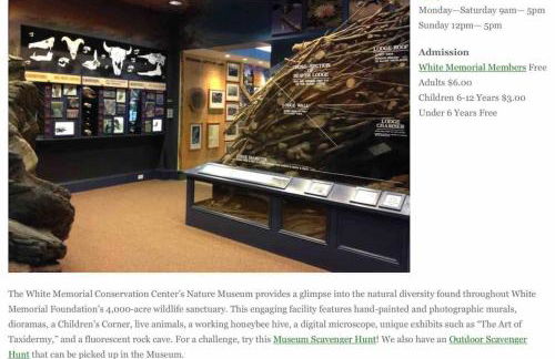 Waterfront Home on Bantam Lake with Private Beach - Foto 8