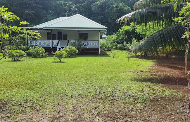 Fare Mama Rota - Photo 17