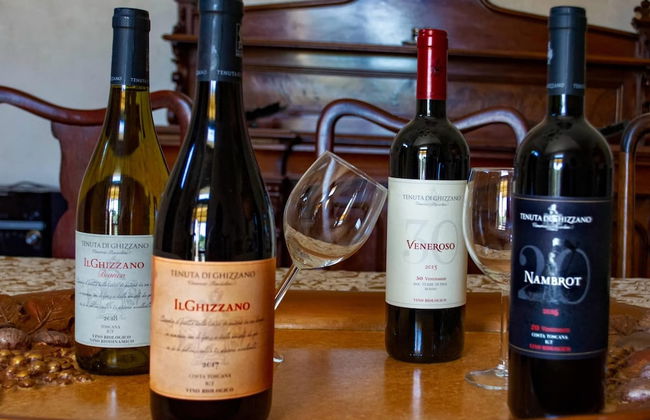 Villa in Tuscany Near Medieval Ghizzano - Foto 27