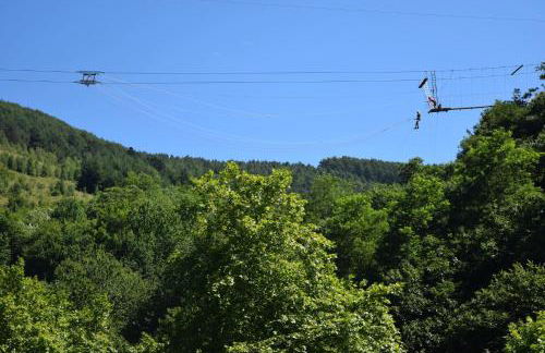 Aizalegia - Photo 39