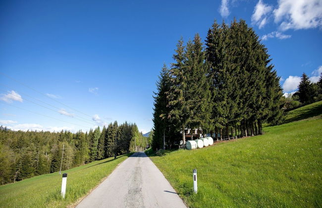 Apartment in Fresach Near Millstattersee With Pool - Foto 31