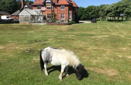 Sandhill House - Photo 22