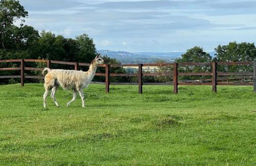 Spacious Cottage in Idyllic Spot - Foto 7