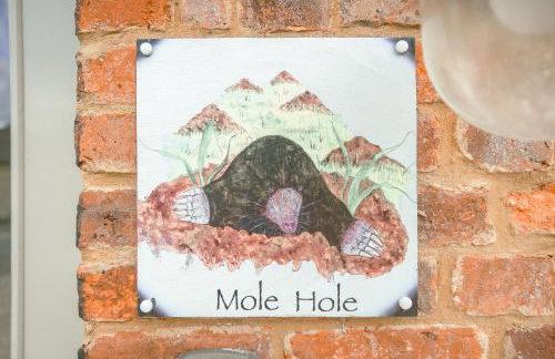 Mole Hole - Photo 1