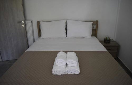 Irina's Apartment - Photo 8