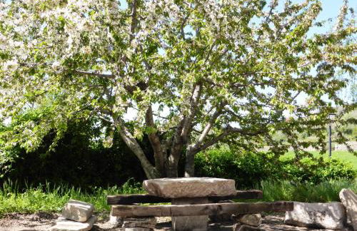 ApartamentosTREVEJO La Noguera villamiel - Foto 17