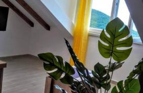 Holiday apartments Maslina Paho - Foto 24