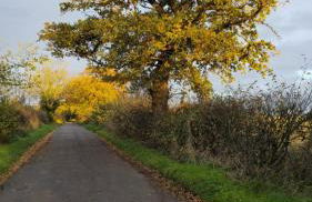 Lovett Haven Hot Tub near Bradgate Sleeps 6 - Foto 59