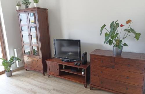 Apartament Kwiatowy klimatyzowany - Foto 12