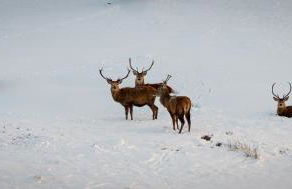 The High Croft - Foto 29