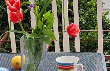 Apartment Marijana - Foto 50