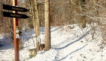 Stilvolles Ferienhaus in Gerolstein - Foto 2