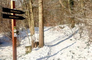 Stilvolles Ferienhaus in Gerolstein - Foto 2