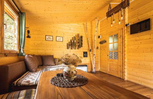 Siedlisko Janopole - Foto 28