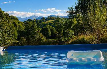 Coume a Case - Maison de charme 4 étoiles - piscine et spa - vallée d'Ossau - Foto 1