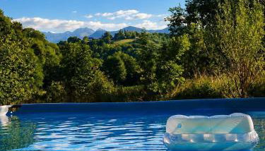 Coume a Case - Maison de charme 4 étoiles - piscine et spa - vallée d'Ossau - Photo 1