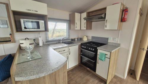 Cosy Perranporth caravan, Cornwall - Photo 5, stove