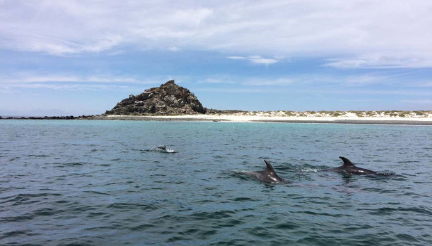 Excursion sur l'île de Damas - Foto 3, Île de Choros