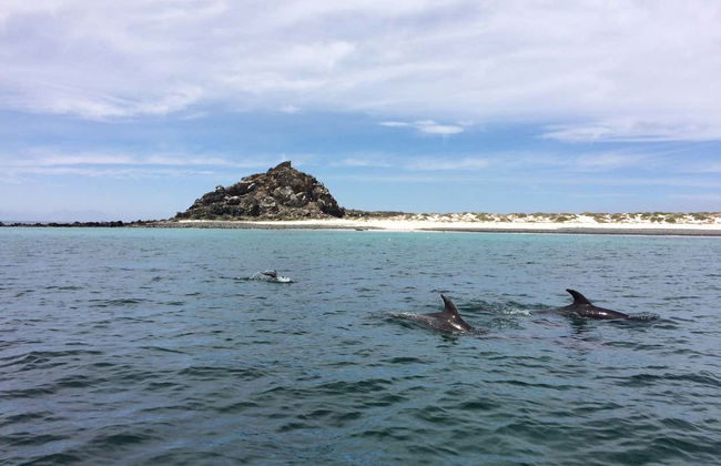Excursion sur l'île de Damas - Photo 3
