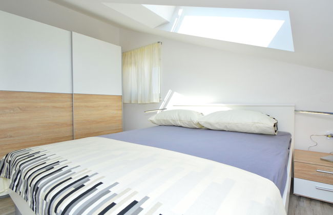 Sun seeker - Photo 9