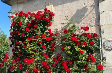 La Villa en Loire, avec Jacuzzi 6 places, Piscine chauffée, boulodrome, salle de jeu, 6 Chambres, vue Loire, 350M2 - Foto 78