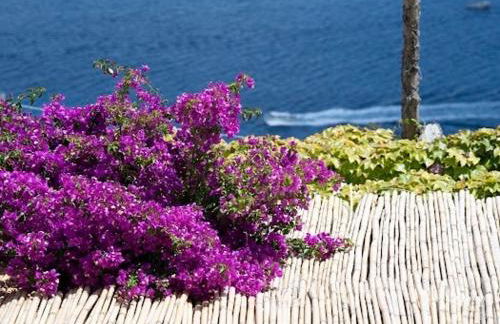 Turino house - Foto 21