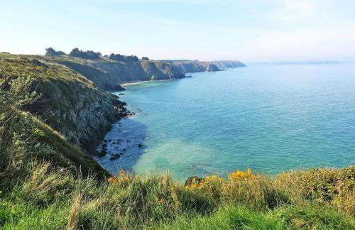 Appart vue mer-au pied du chemin de randonnée " Bassan" - Foto 26