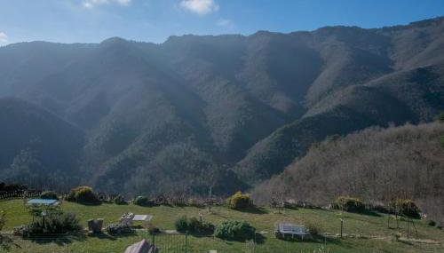 VERDEMARE Rialto - Foto 4