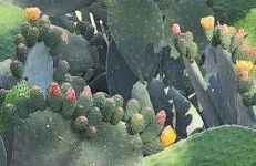 La Porta Azzurra - Foto 23