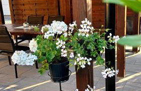 NAD JEZIOREM - Apartamenty - Foto 17