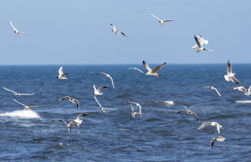 Wakacyjna Wioska SUMMERLAND - Foto 55